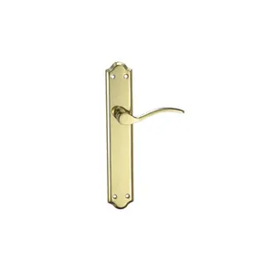 Excellent wenzhou door handle gold