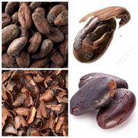 Machines de transformation du cacao commercial : torréfaction, décorticage, égrenage, machine à décortiquer les fèves de cacao torréfiées