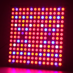 Productos de venta caliente compra directa de china fabricación 500 w <span class=keywords><strong>led</strong></span> crece el panel ligero - Product Image 1