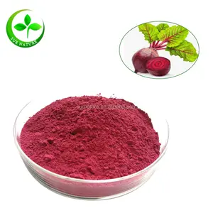 Wholesale Dried Red Beet Root Powder For Sale