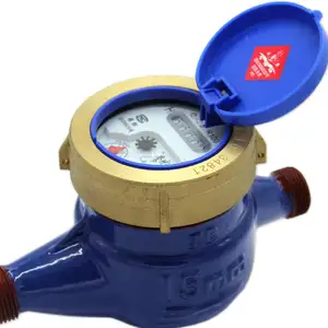 Wet Dial Water Meter DN15 DN20 DN25 DN32 DN40 DN50 DN65 Screw Connection Cast Iron Or Brass Body With R80