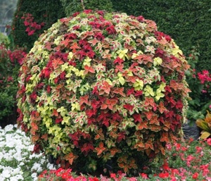 En plein air boîte à <span class=keywords><strong>fleurs</strong></span> ronde grande boule en plastique géante forme jardinières pot de fleur boule de fleur artificielle - Product Image 4