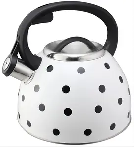 Wholesale Summer Hot Sales Stainless Steel Watering Kettle Outdoor Water Cooking 1-4L Water Tea Pot Whistle Kettle