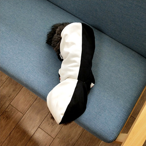 Kişiselleştirilmiş moda serin stil köpek ve sahibi uyumlu hoodies evcil hayvan ve sahibi baba anne eşleştirme hoodie 2023 yeni tasarım - Product Image 6