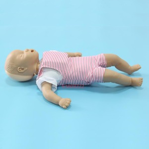 ADA-J140 Advanced Electronic CPR Training <strong>Baby</strong> Anatomical Model with Standard Size Obstruction <strong>Simulator</strong> and Detailed Structures - Product Image 4
