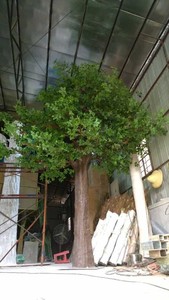 <span class=keywords><strong>Plante</strong></span> artificielle en fibre de verre, arbre à argent <span class=keywords><strong>Pachira</strong></span> porte-bonheur, pour la décoration intérieure - Product Image 3