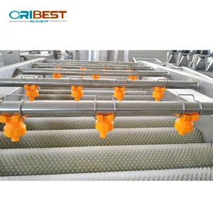 High pressure water flow vegetable washing machine price/ carrot washing machine price/ ginger washer