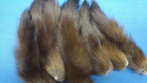 Atacado de Alta Qualidade Russo Sables Cauda Real Canadense Sables Cauda Baum Marten - Product Image 2