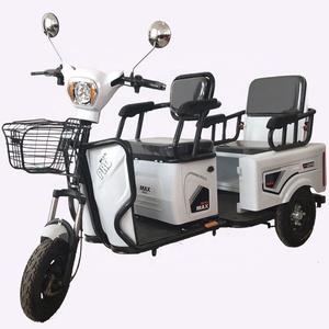 Triciclo Eléctrico Económico para Adultos con Discapacidad con Batería de Plomo-Ácido - Product Image 1