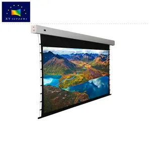 roll up sound transparent project/projector/projection screen with motorized remote control
