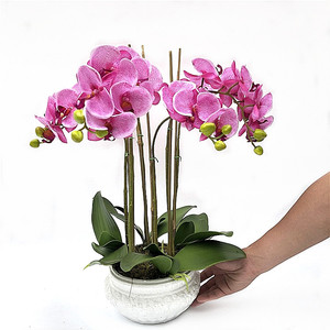 Nuovo vero tocco Phalaenopsis orchidea Bonsai orchidea artificiale con vaso vero tocco fiori vaso orchidea <span class=keywords><strong>per</strong></span> la decorazione - Product Image 2