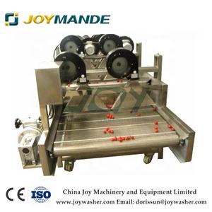 Máy Sấy Thổi Không Khí Thực Phẩm Chế Biến Rau Quả Tươi - Product Image 5