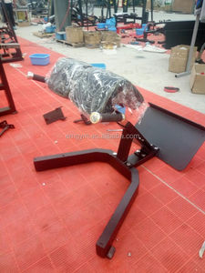 Chaise <span class=keywords><strong>romaine</strong></span> d'extension dorsale de haute qualité pour équipement de gym - Product Image 6