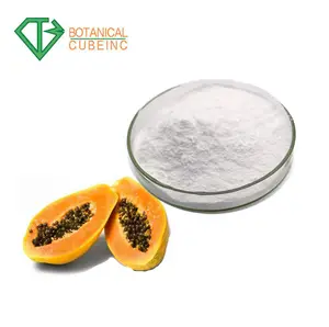 B.C.I Factory Supply Papaya Enzyme CAS 9001-73-4 Papain Powder 50000U/g