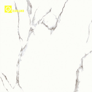<span class=keywords><strong>Piastrelle</strong></span> in Marmo di Alta Qualità <span class=keywords><strong>60x60</strong></span> dal Produttore - Product Image 6