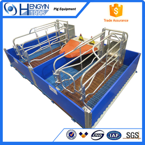 Equipos de cría de cerdos paridera <span class=keywords><strong>cerda</strong></span> parto <span class=keywords><strong>casa</strong></span> - Product Image 5