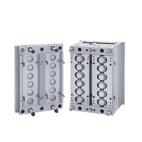 High Quality Plastic Bottle Injection Screw Cap Mould/Mold