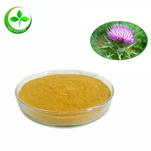 Bulk Best Quality Factory Supply Milk Thistle Extract Silymarin Powder