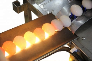 Máquina de lavar ovo com eficiência alta, tipo de escova, lavagem automática de ovos, máquina de lavar ovos/codorna, máquina de descascar - Product Image 3