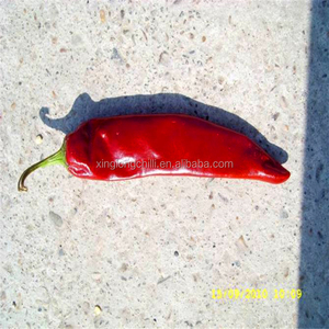 Piment/poivre rouge séché, vente en gros, 10g - Product Image 6
