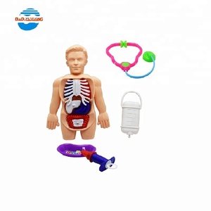 Juego <span class=keywords><strong>de</strong></span> plástico modelo <span class=keywords><strong>de</strong></span> cuerpo médico conjunto <span class=keywords><strong>de</strong></span> juguete para <span class=keywords><strong>los</strong></span> niños - Product Image 1