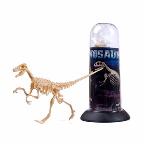 Juguetes de Dinosaurio Velociraptor Pequeño, Juguetes de Dinosaurio de Plástico PVC, Juguetes de <span class=keywords><strong>Esqueleto</strong></span> de Dinosaurio para Niños - Product Image 1