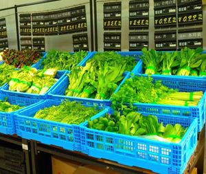 Nhỏ Ráp Thùng Nhựa Cho Trái Cây Và Rau Quả - Product Image 5