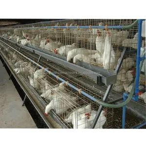 Factory egg chicken cage for layer poultry farm for sale