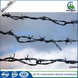 Pvc recubierto <span class=keywords><strong>de</strong></span> <span class=keywords><strong>alambre</strong></span> <span class=keywords><strong>de</strong></span> púas <span class=keywords><strong>de</strong></span> hierro tipo <span class=keywords><strong>puma</strong></span> - Product Image 3