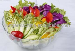 Machine à couper les légumes pour <span class=keywords><strong>salade</strong></span> commerciale | Machine à couper la <span class=keywords><strong>laitue</strong></span> | Machine à couper le chou <span class=keywords><strong>rouge</strong></span> - Product Image 4