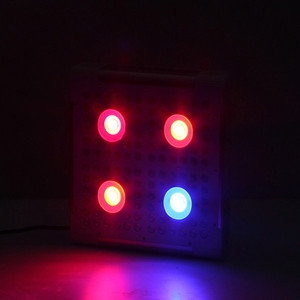 Nouvelle intérieur légumes technologie 300 watt 300 w tri-bande led élèvent le panneau léger élèvent spectre complet veg <span class=keywords><strong>fleur</strong></span> - Product Image 4