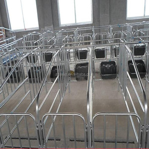 Gestación cajón/sembrar la barra de posicionamiento en equipos avicultura la cerda Mesa obstétrica - Product Image 5
