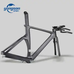 Super Leichte EN Standard TT Carbon Faser Fahrrad Rahmen Individuelles Logo Malerei Fahrrad Rahmen