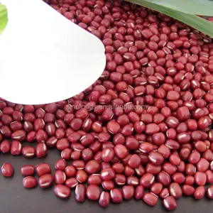 유기 최고 품질의 콩 팥 콩