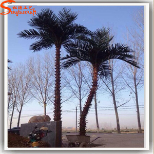 Cây Cọ Trung Đông <span class=keywords><strong>Phoenix</strong></span> Sylvestris Cây Cọ Trưởng Thành Bạc Ngày Cọ Nhân Tạo - Product Image 4