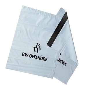 Bolsas biodegradables ecológicas de 45x60cm para comercio electrónico, Express, de poliéster, impresas personalizadas, Satchel, correo postal - Product Image 3