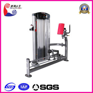 glute la machine l'équipement de la force <span class=keywords><strong>musculaire</strong></span> - Product Image 1