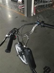 180W 36V E <span class=keywords><strong>Cargo</strong></span> Bike 3 roues Trike Bicicleta Electrica <span class=keywords><strong>Velo</strong></span> <span class=keywords><strong>Electrique</strong></span> Motorisé Tricycles électriques pour adultes - Product Image 4