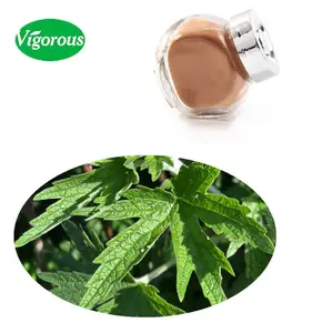 10:1 Leonurus cardiaca p.e./ Motherwort Extract/Motherwort Extract powder