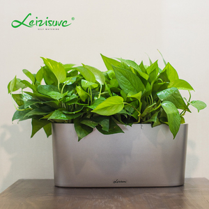 Planteur de bureau en plastique, sous vide, pot de fleurs, vase en verre, pour plante de jardin, vente en gros, injection, vente en gros - Product Image 4