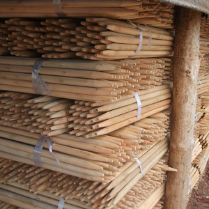 <span class=keywords><strong>Support</strong></span> de plante en bois d'eucalyptus écologique en gros <span class=keywords><strong>pour</strong></span> les <span class=keywords><strong>plantes</strong></span> grimpantes - Product Image 6