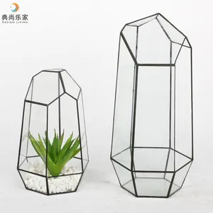 不规则透明玻璃棱镜几何玻璃容器，室内表肉质植物盆