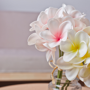 <span class=keywords><strong>PU</strong></span> yapay <span class=keywords><strong>plumeria</strong></span> buket ucuz yapay frangipani çiçekler avustralya yapay <span class=keywords><strong>plumeria</strong></span> çiçekler - Product Image 4