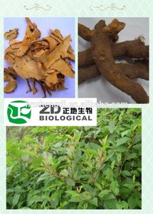 polygonum cuspidatum extracto resveratrol polydatin <span class=keywords><strong>emodina</strong></span> - Product Image 1