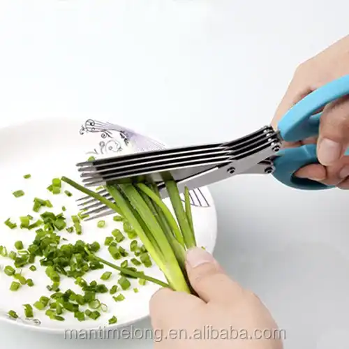 Stainless Steel Kitchen Scissors 5 Blade Chopped Green Onion Scissors 5  Layer Scissors Shredded Scallion Cut Herb Scissors - Buy Stainless Steel Kitchen  Scissors 5 Blade Chopped Green Onion Scissors 5 Layer