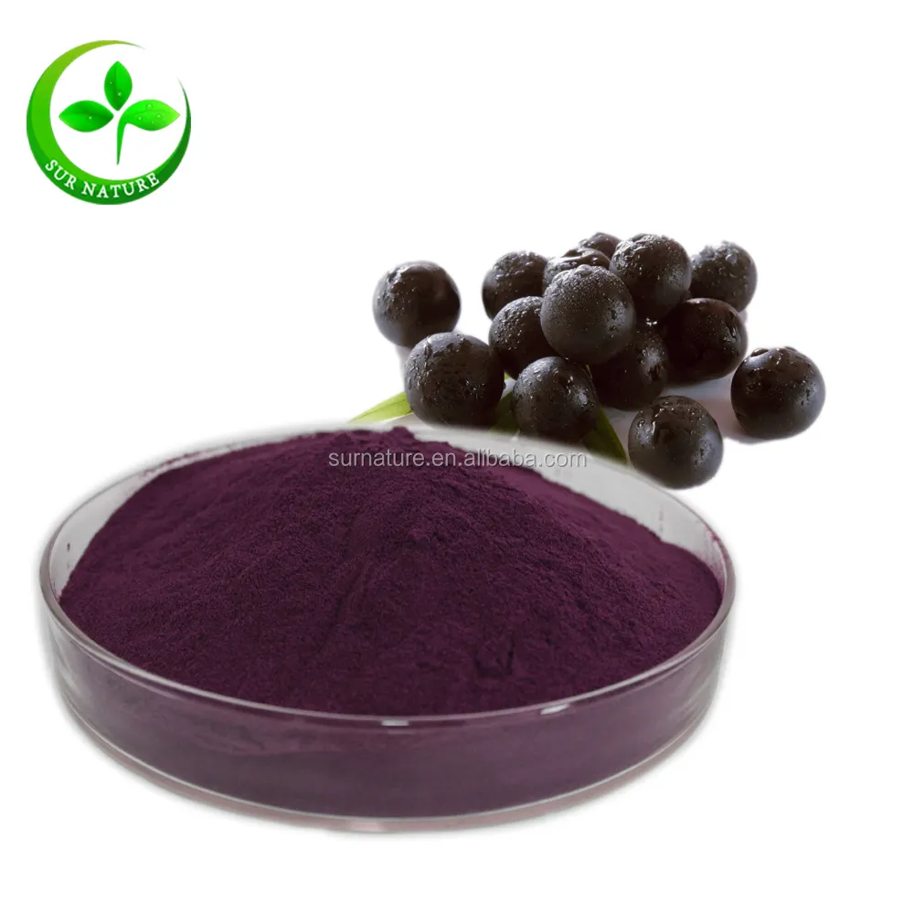 Factory Wholesale Organic Berry Brazil Acai Berry Juice Powder