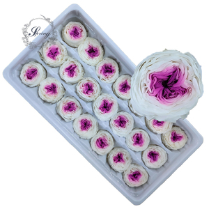 Suministro de fábrica de alta calidad 2-3 cm conservado Austin <span class=keywords><strong>mini</strong></span> Rose para caja de <span class=keywords><strong>rosas</strong></span>, cúpula de cristal de <span class=keywords><strong>rosas</strong></span> - Product Image 3