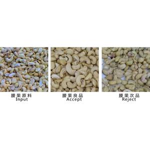 Convoyeur Ceinture Grain Couleur Séparateur Amande <span class=keywords><strong>De</strong></span> <span class=keywords><strong>Cajou</strong></span> Shell Séparateur Machine - Product Image 5