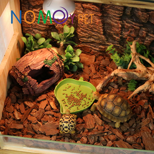 NOMOY PET de <span class=keywords><strong>la</strong></span> venta directa de fábrica al por mayor hoja verde grande plato comida tazón de agua para reptil NW-11 - Product Image 4