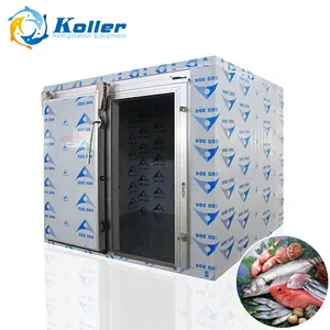 Coller 10cbm andar no congelador sala de armazenamento frio 3 toneladas freezing câmara para armazenar peixes e carne